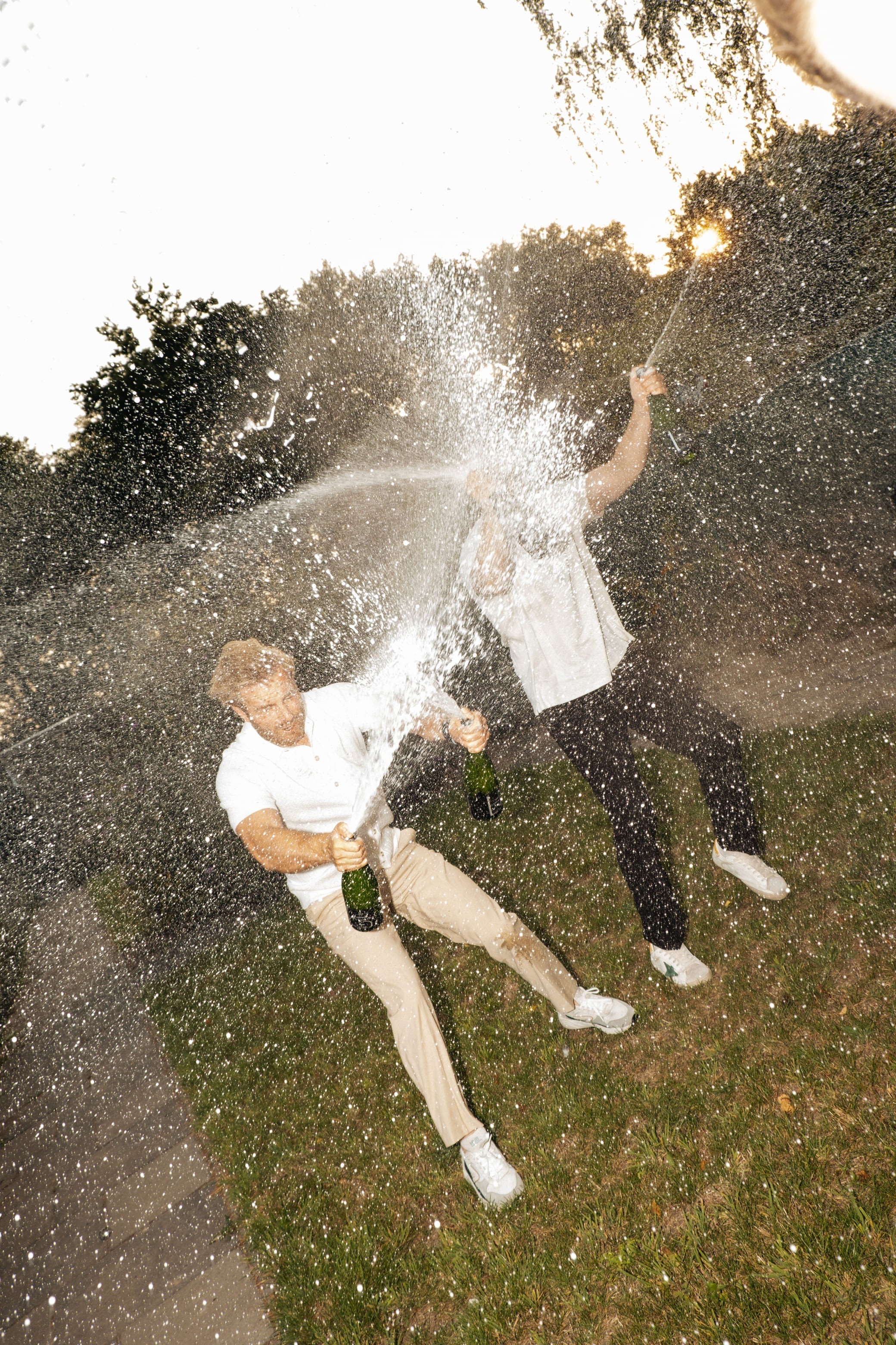 Champagne kopen - Ambrosia