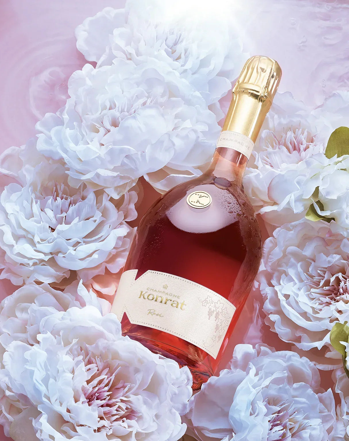 Konrat_Rose_ambiance - Ambrosia