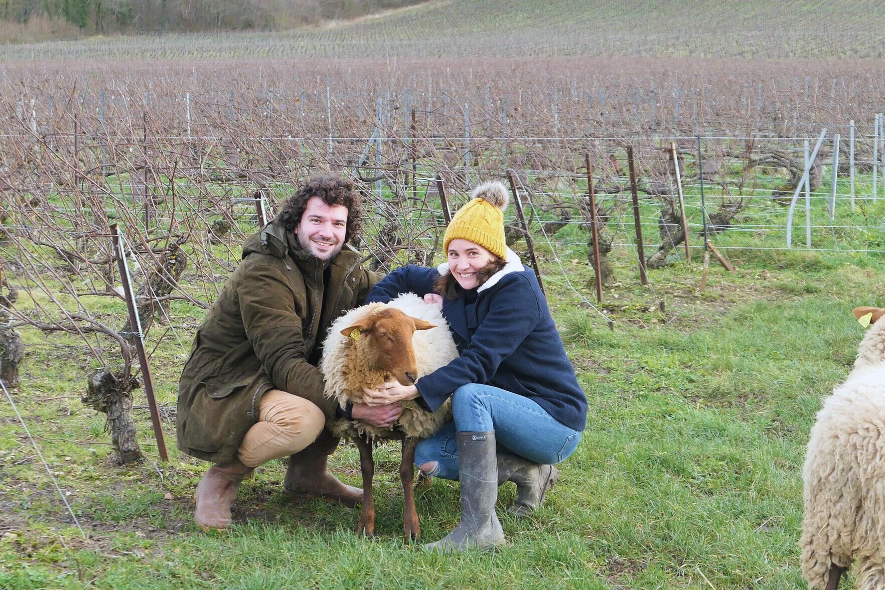 Portait_Marc_Faustine_avec_moutons - Ambrosia