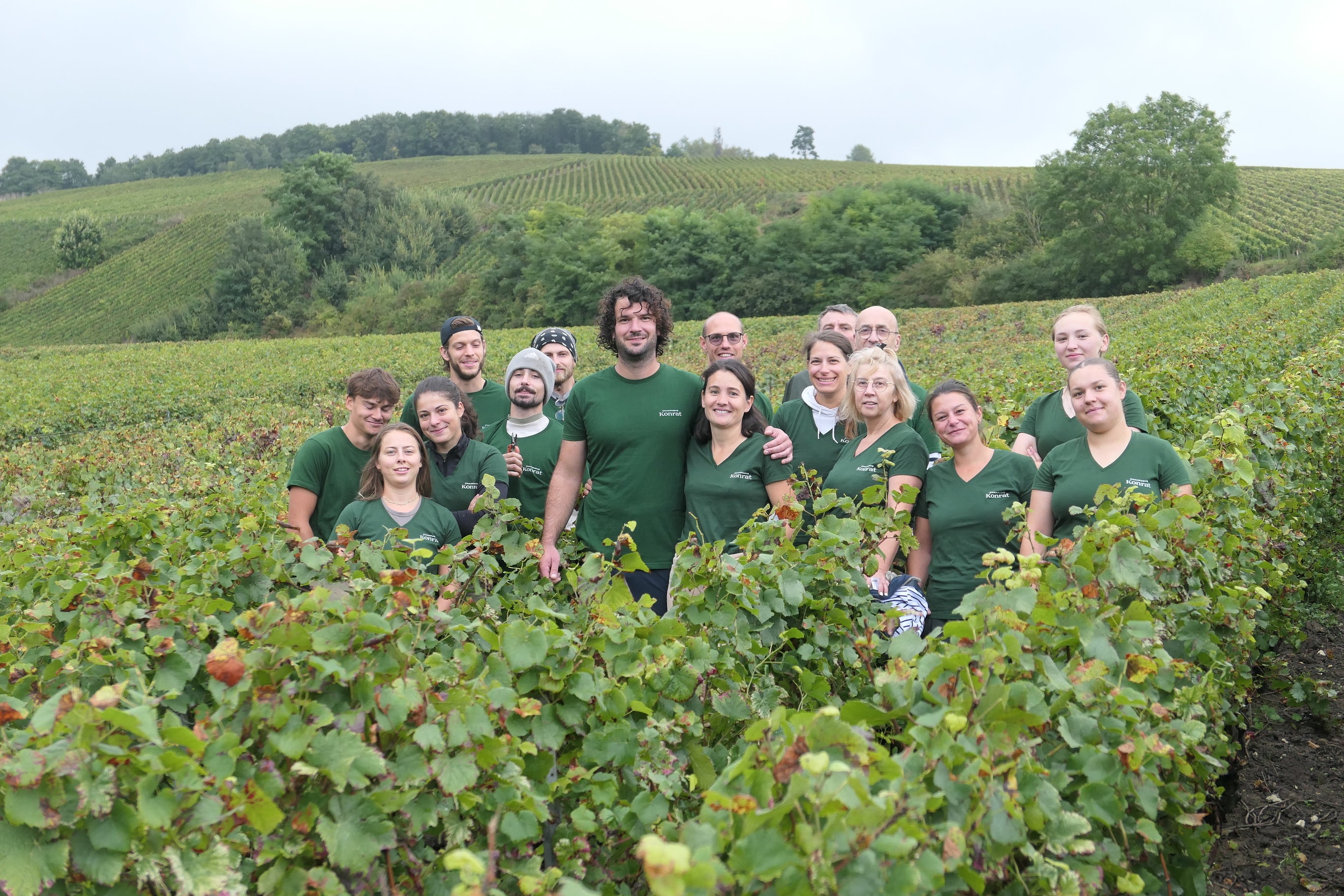 vendanges_2024_photo_d_equipe - Ambrosia