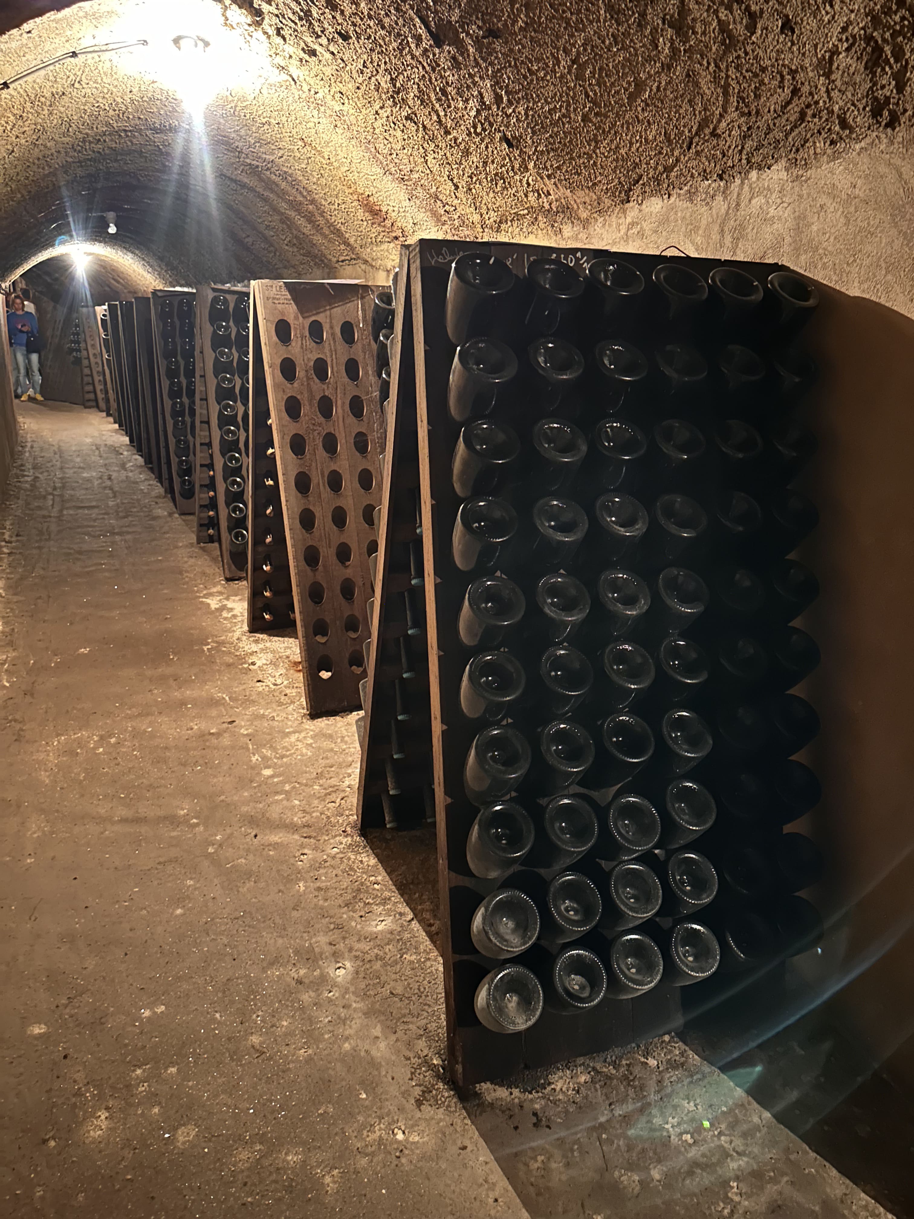 Een magnum fles champagne kopen: waar let je op?