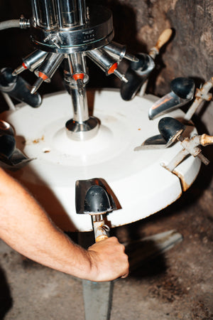 Hoe je de beste champagne kunt bestellen en waar op te letten