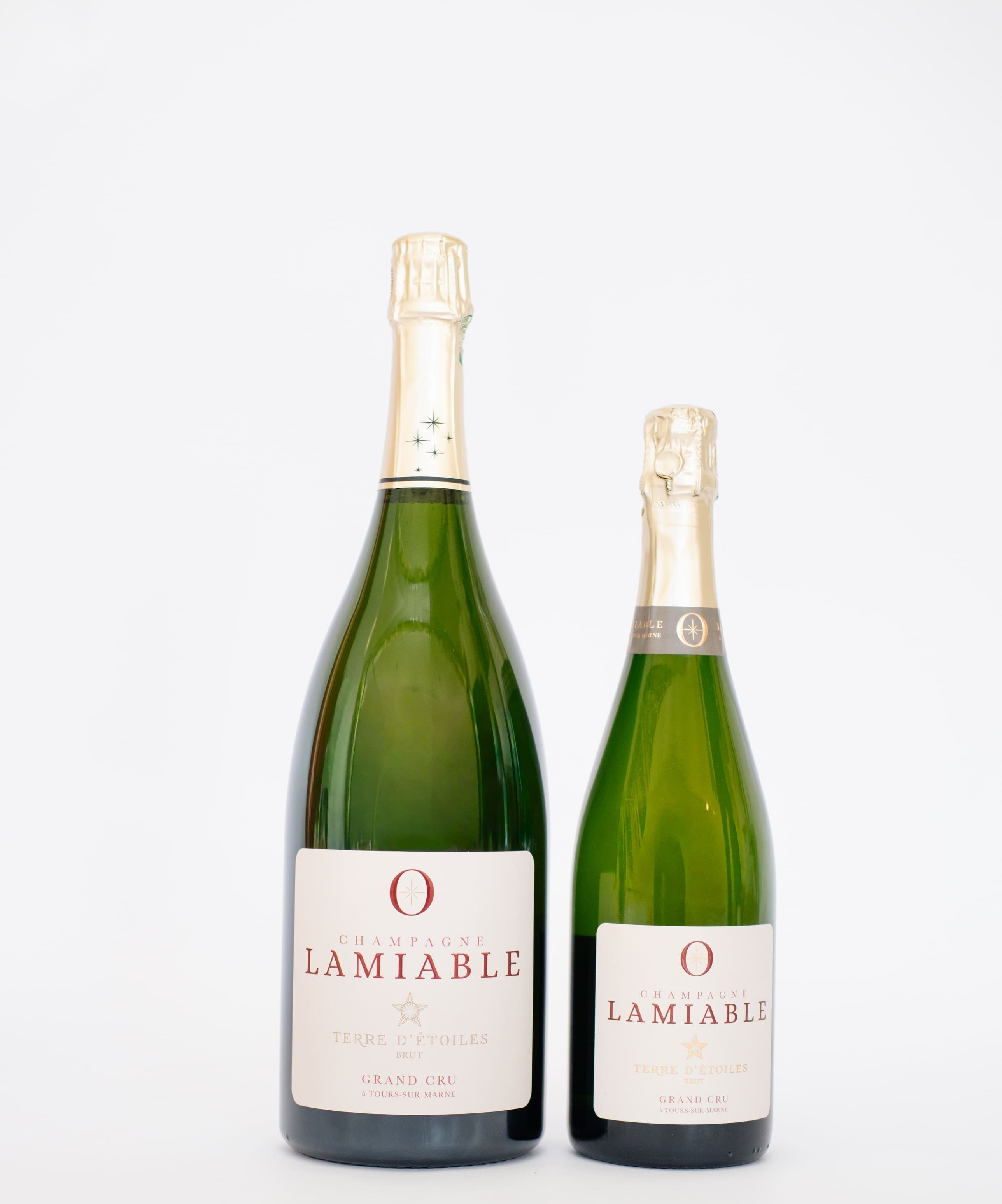 Champagne Lamiable: grand cru uit Tours-sur-Marne, perceel voor perceel