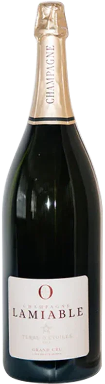 Big Bottles