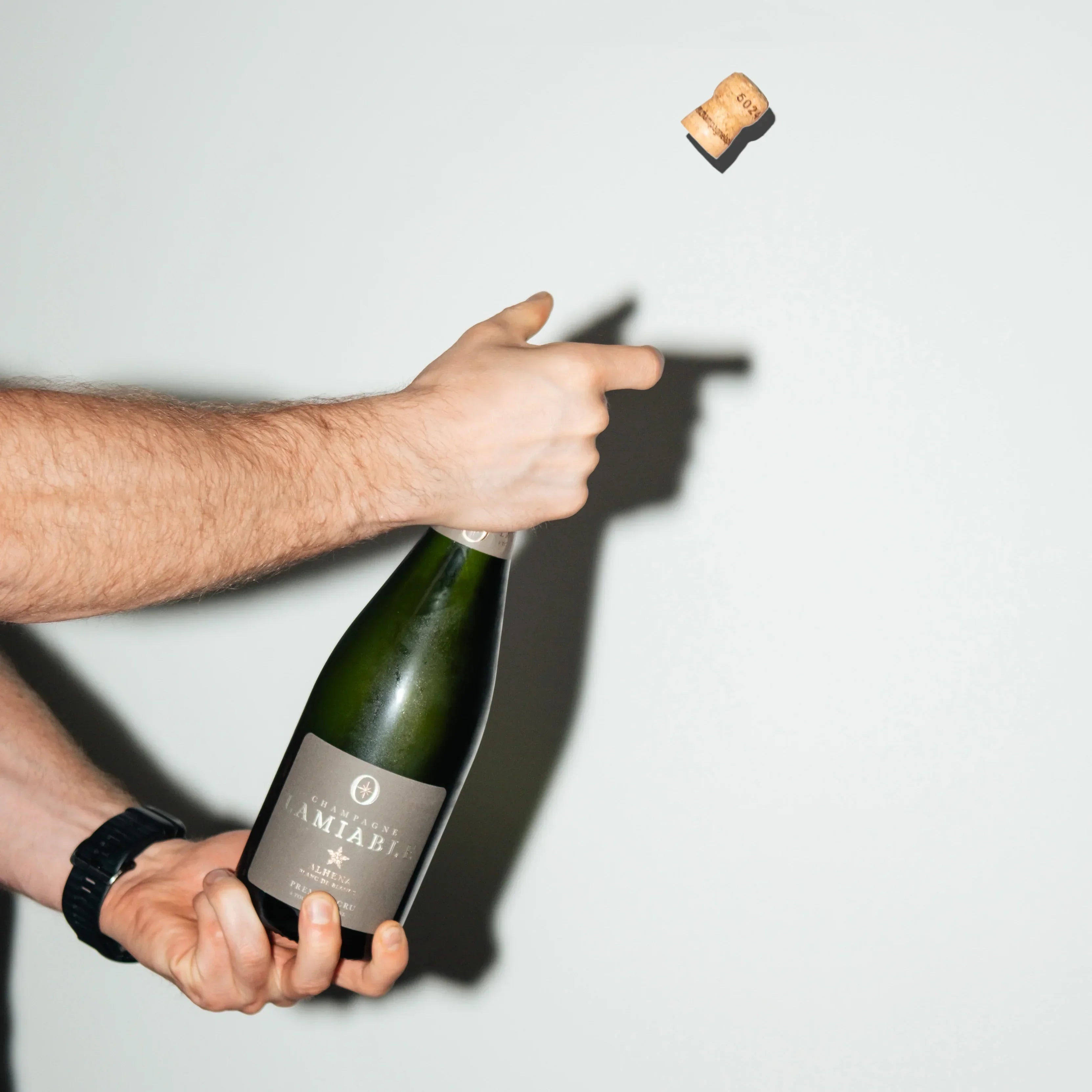Lamiable | Alhena | Premier Cru | Blanc de Blancs | Extra Brut - Ambrosia